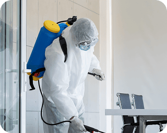 Дезинсекция: уничтожение клопов и тараканов в Алматы (мобильная версия)