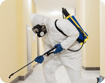 Дезинфекция помещений от вирусов и бактерий в Алматы (мобильная версия)